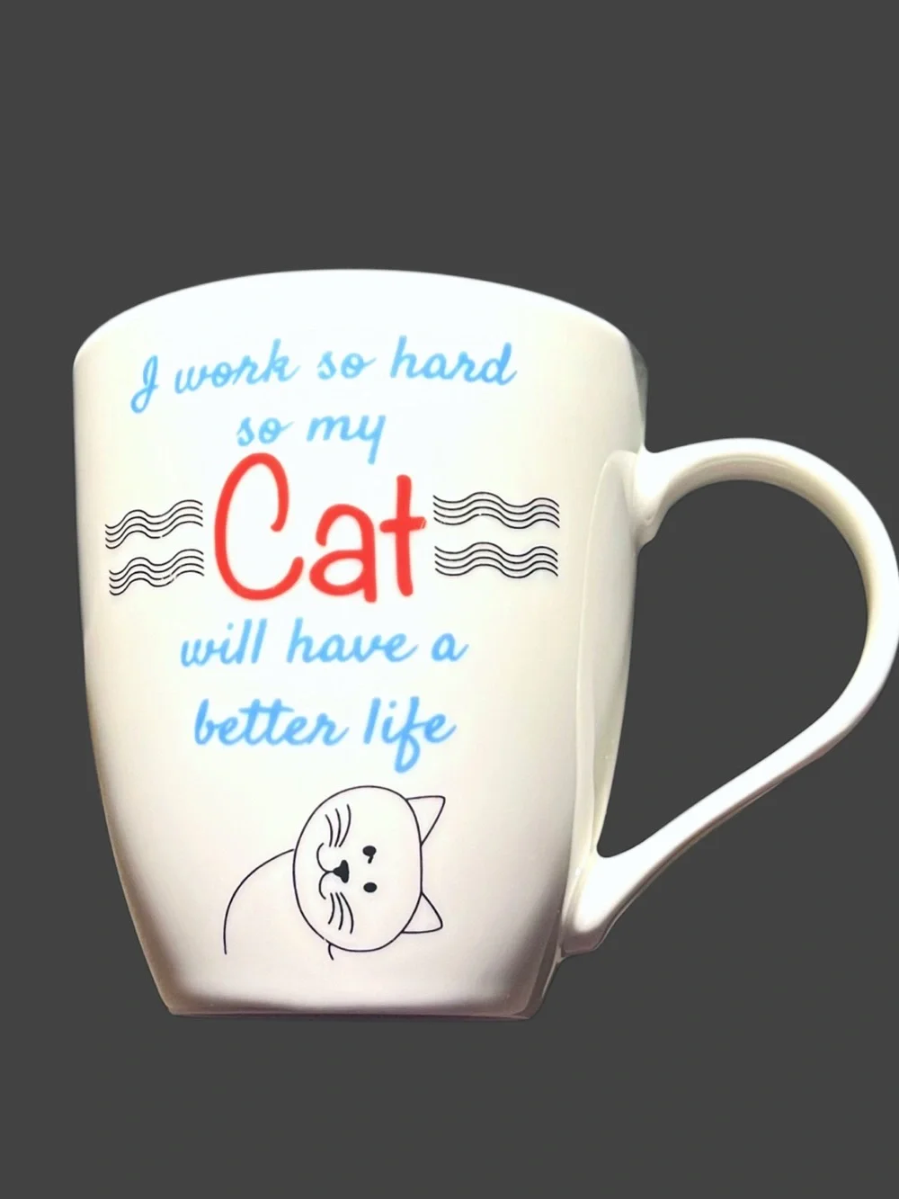 Cat Lover Novelty 16oz Gift Mug ‘I Work So Hard’